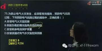 一级视频免费在线观看,免费在线观看一级视频的视听盛宴